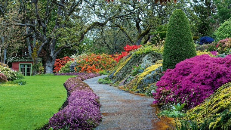 Un jardin zen et coloré