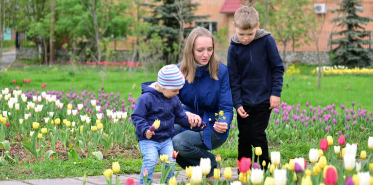Un jardin bien éclairé