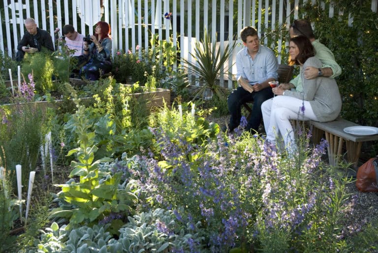 Opter pour un jardin potager