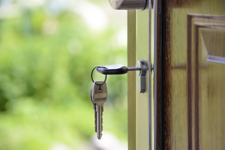 Les différentes choses qu’il faut apporter pour décorer votre maison