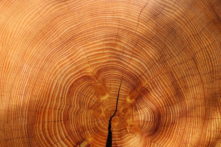Pourquoi utiliser une peinture pour le bois ?