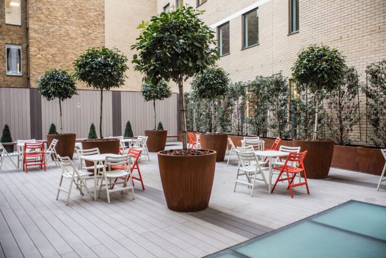 Comment créer un jardin contemporain ?