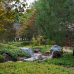 Comment aménager un jardin japonais ?
