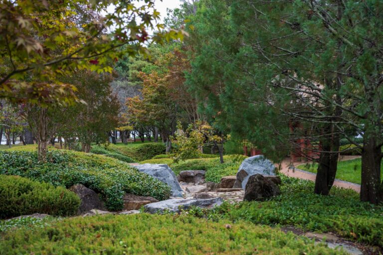 Comment aménager un jardin japonais ?