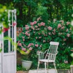 Comment aménager un jardin méditerranéen ?