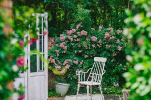 Comment aménager un jardin méditerranéen ?