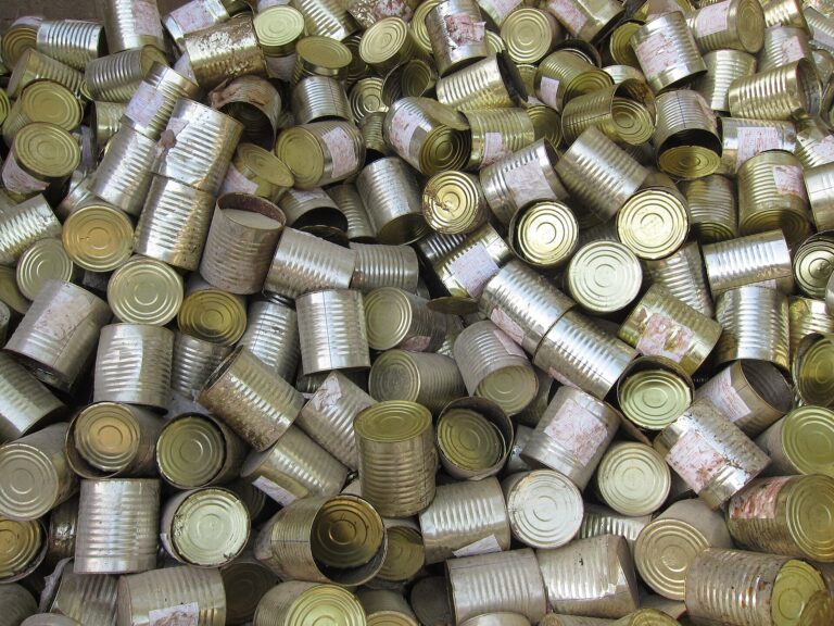 Des boîtes de thon vides pour baliser l’allée du jardin